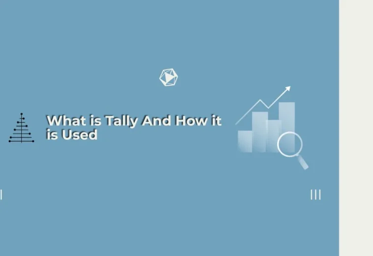 What is Tally And How it is Used